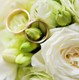 Hochzeitseinladung Ringe Blumen Weiß quadratisch