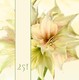Hochzeitseinladung Silberhochzeit Blume Gelb jb1908010vk